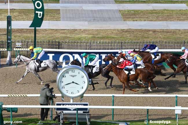 12/10/2016 - Chantilly - Prix du Carré de Dressage : Ankunft