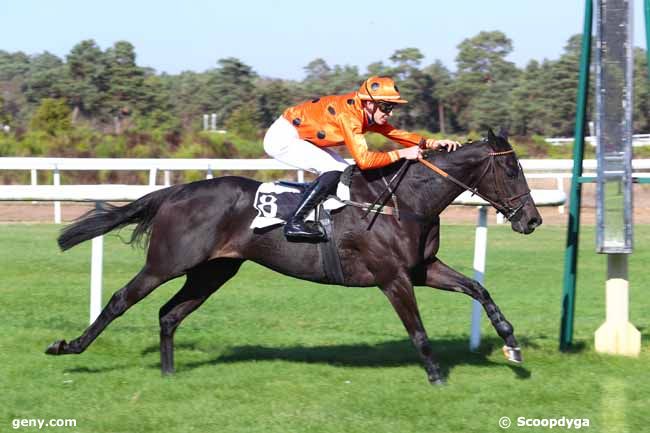 16/10/2018 - Fontainebleau - Prix du Grand Parquet : Arrivée