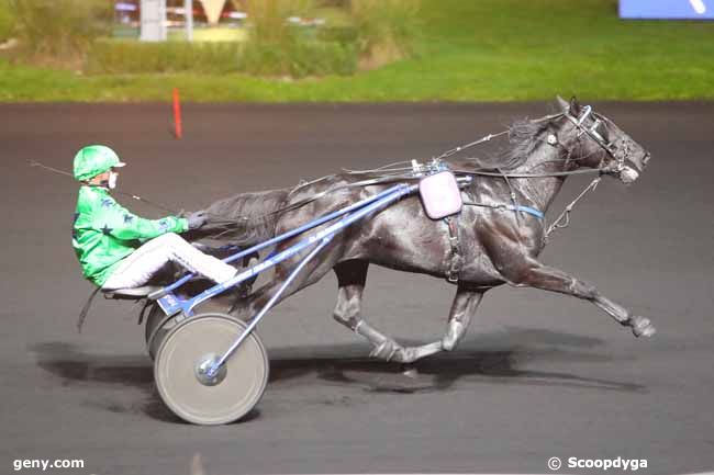 06/11/2020 - Vincennes - Prix Campanus : Ankunft