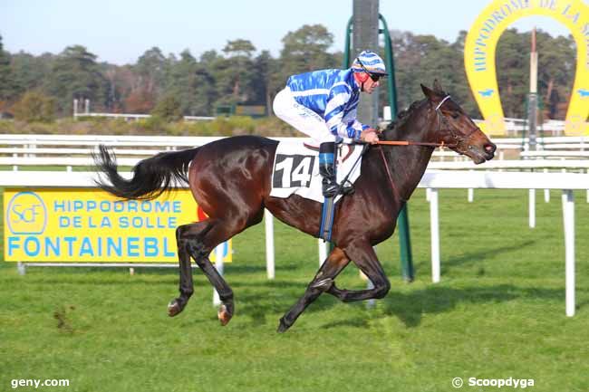 12/11/2021 - Fontainebleau - Prix du Mont Pierreux : Ankunft