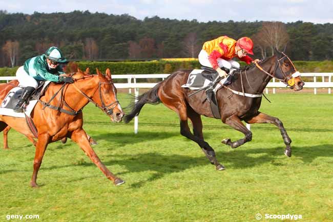 22/11/2021 - Fontainebleau - Prix Gerard de Marisy : Result