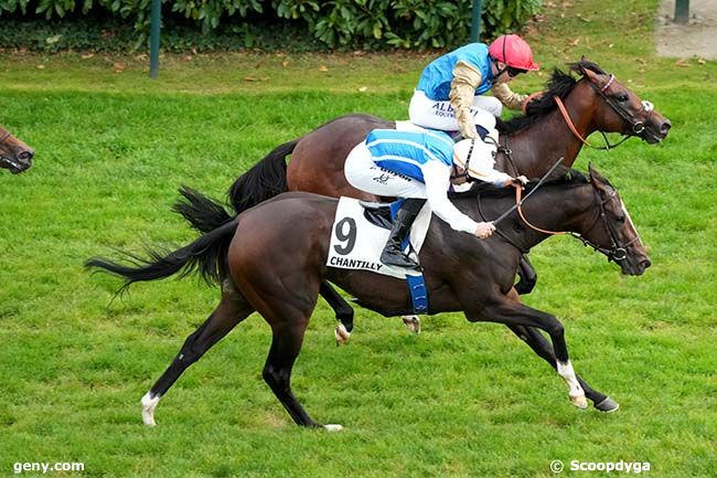 21/09/2024 - Chantilly - Prix Eclipse : Arrivée