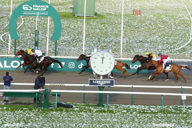 22/11/2024 - Chantilly - Prix du Pays d'Yvelines : Result