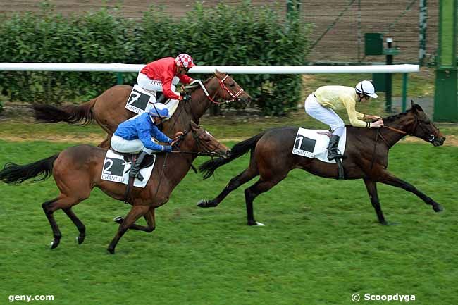 28/04/2011 - Chantilly - Prix du Cédre : Result