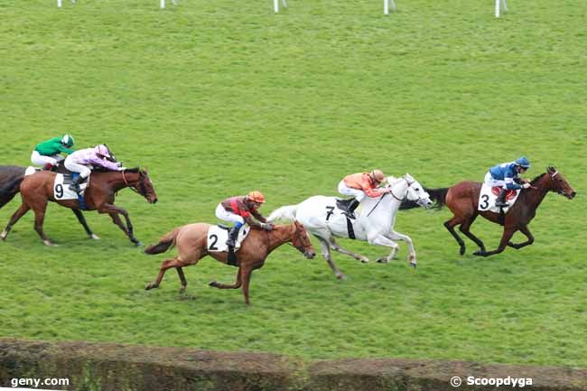 19/03/2013 - Saint-Cloud - Prix de Bagnères-de-Bigorre : Ankunft