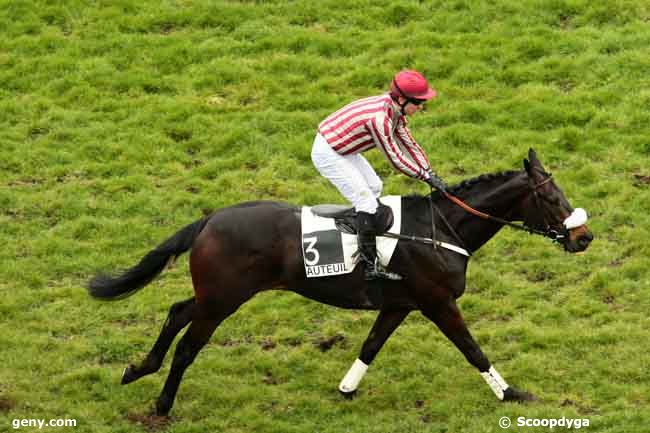 24/03/2013 - Auteuil - Prix Hubert d'Aillières : Arrivée