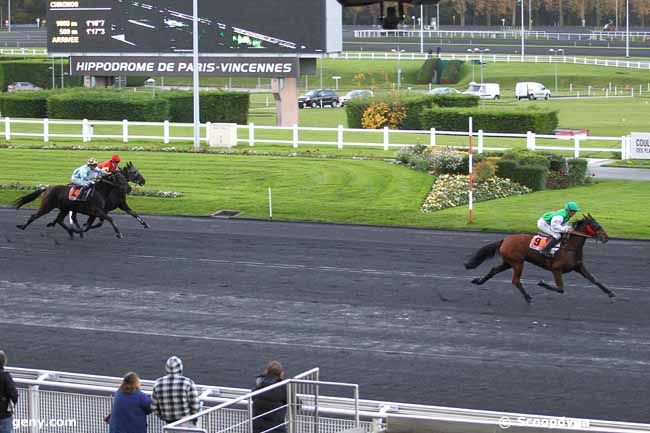 14/11/2013 - Vincennes - Prix de Valenciennes : Ankunft