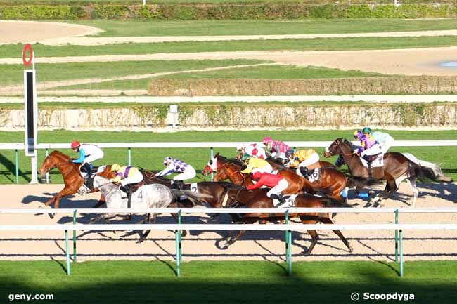 28/12/2014 - Deauville - Prix de Braudière : Arrivée