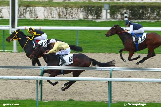 02/12/2015 - Deauville - Prix de Précolette : Ankunft