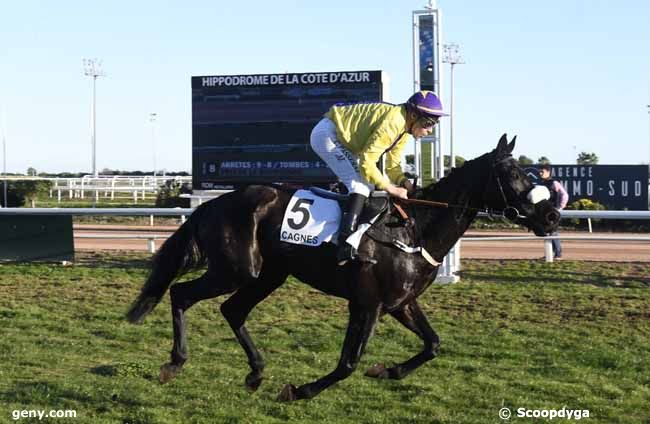 24/12/2019 - Cagnes-sur-Mer - Prix de la Bourgogne : Arrivée