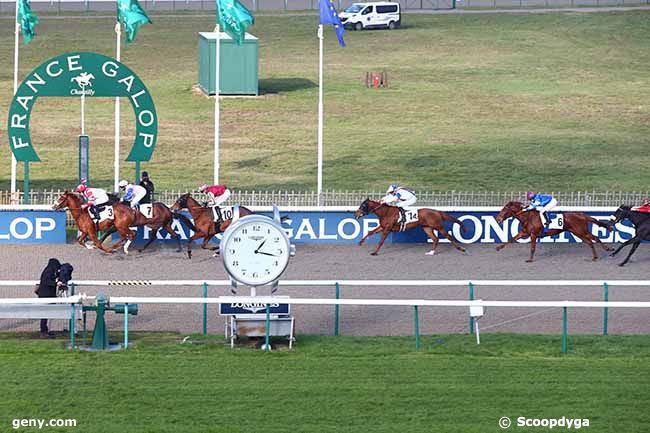 08/12/2020 - Chantilly - Prix du Carrefour des Marchands de Navets : Arrivée