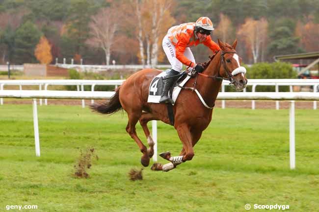 22/11/2021 - Fontainebleau - Grand Steeple-Chase de la Solle - Prix Compagnie les Arlequins : Result