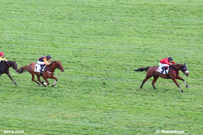 19/11/2022 - Auteuil - Steeple-Chase National des Anglo-Arabes : Arrivée