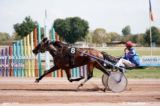 11/09/2023 - Beaumont-de-Lomagne - Prix le Derby Nègrepelisse : Arrivée