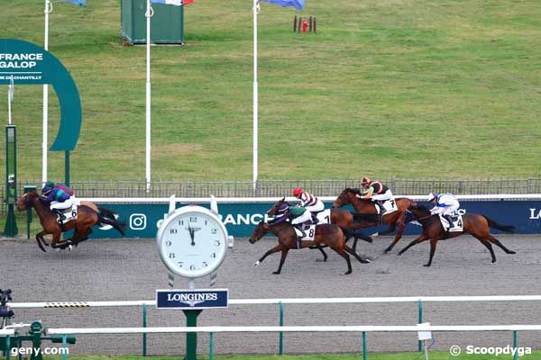 14/12/2023 - Chantilly - Prix du Carrefour de Mahieu Vilain : Arrivée