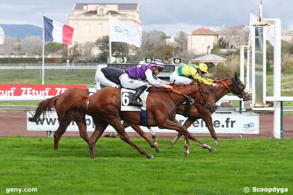 27/02/2024 - Marseille-Borély - Prix des Arganiers : Arrivée