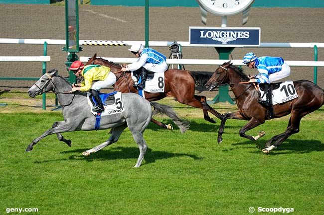 21/09/2024 - Chantilly - Prix de Villebon : Arrivée