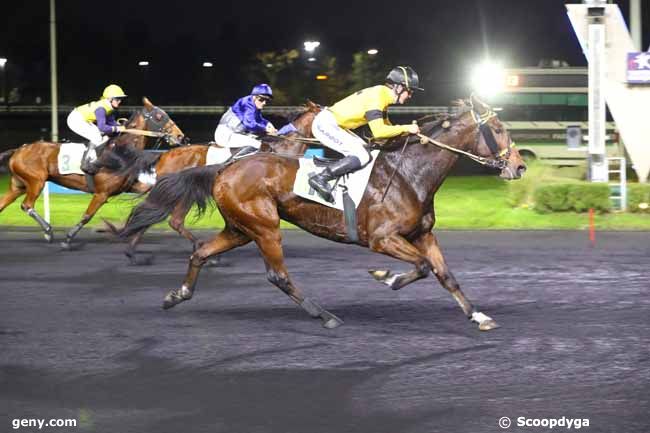 14/11/2024 - Vincennes - Prix de l'Ile d'Oléron : Arrivée