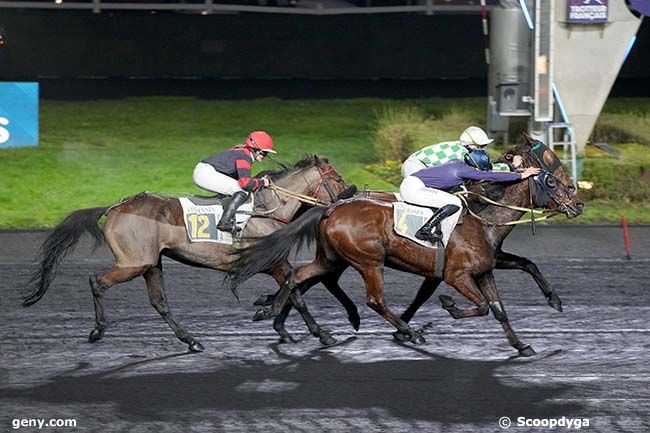 15/01/2025 - Vincennes - Prix de Pornichet : Arrivée