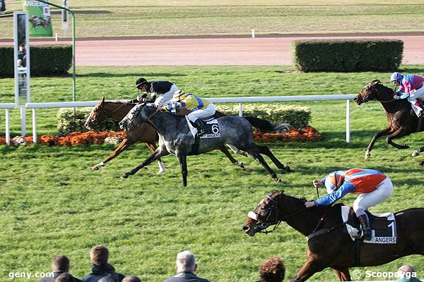 15/11/2007 - Angers - Prix Brunière : Arrivée