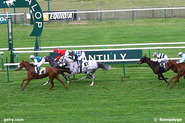 16/10/2008 - Chantilly - Prix de Saint-Cyr : Result