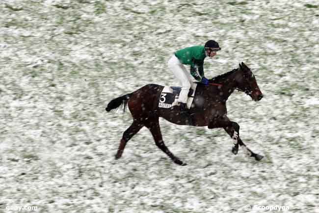 07/12/2010 - Auteuil - Prix Hamilton : Arrivée