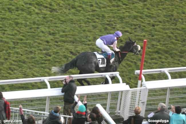 20/11/2011 - Auteuil - Prix Léon Olry-Roederer : Arrivée