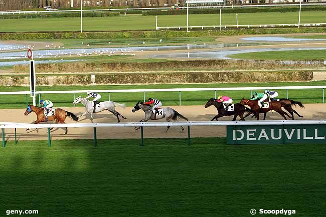 15/12/2012 - Deauville - Prix de La Bourdonnière : Arrivée