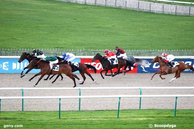 15/11/2013 - Chantilly - Prix de la Montée : Result