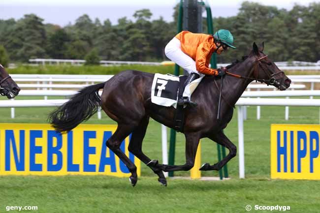 02/09/2016 - Fontainebleau - Prix Artus de Maille : Arrivée