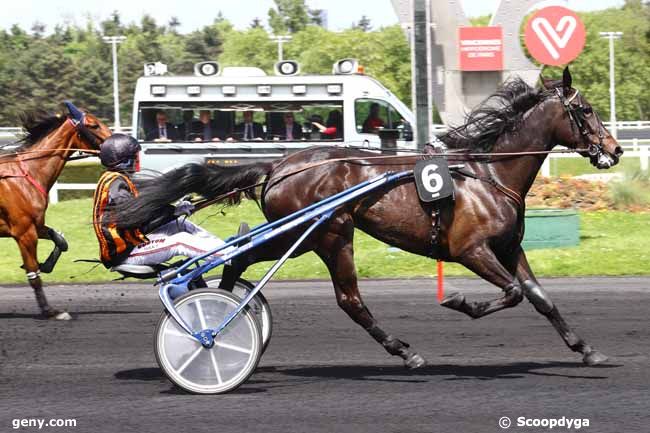 13/05/2017 - Vincennes - Prix de Mamers : Ankunft