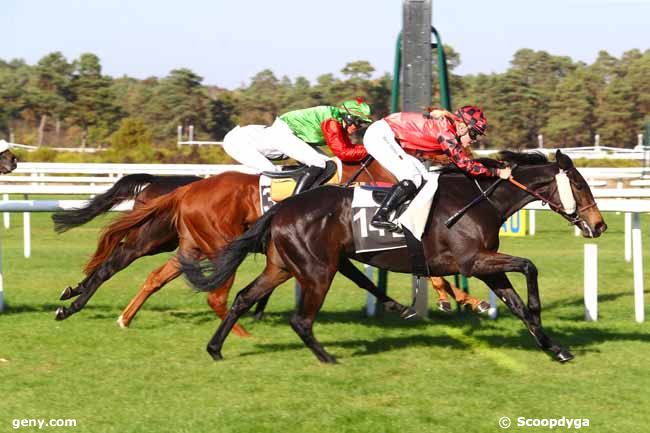 16/10/2018 - Fontainebleau - Prix Madame Charles du Breil : Arrivée