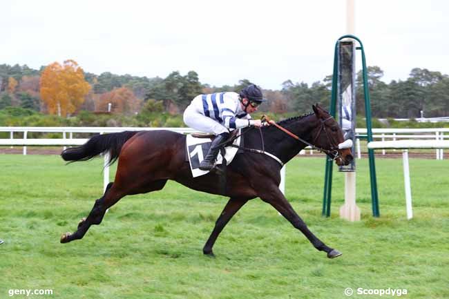 26/11/2019 - Fontainebleau - Prix de Macherin : Ankunft