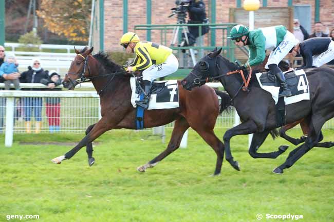 12/11/2021 - Fontainebleau - Prix Artus de Maille : Arrivée