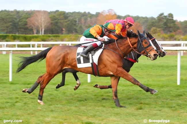 22/11/2021 - Fontainebleau - Prix de la Fontaine aux Biches : Ankunft