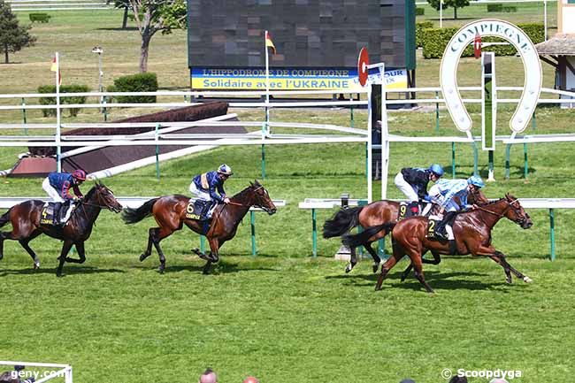 09/05/2022 - Compiègne - Prix de la Launette : Arrivée