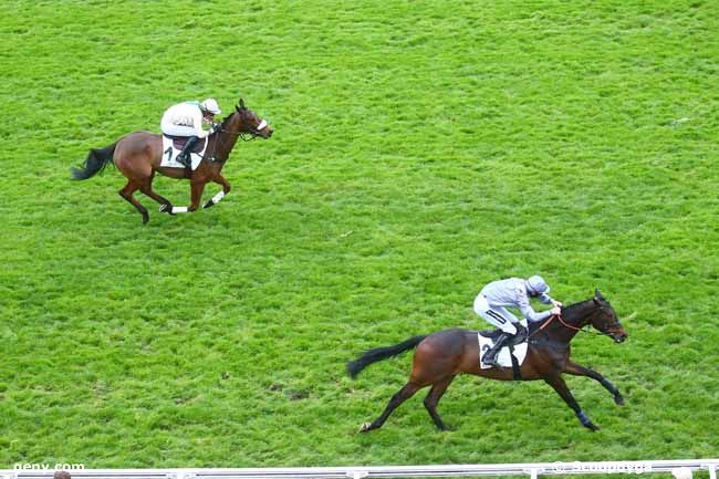 18/04/2023 - Auteuil - Prix Romantisme : Arrivée