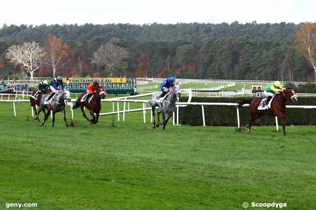 25/11/2023 - Fontainebleau - Prix Chloris : Arrivée