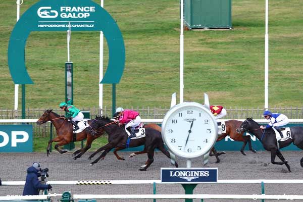 14/12/2023 - Chantilly - Prix du Carrefour d'Orléans : Arrivée