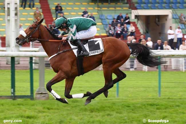 07/05/2024 - Compiègne - Prix Romati : Arrivée