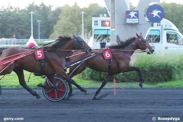 01/10/2024 - Vincennes - Prix Undina : Ankunft