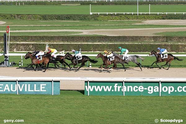 12/11/2007 - Deauville - Prix Madina : Arrivée
