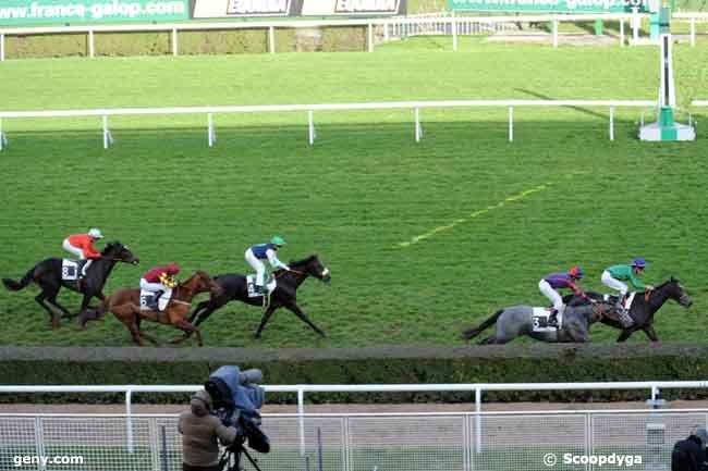 25/11/2008 - Saint-Cloud - Prix Isonomy : Arrivée