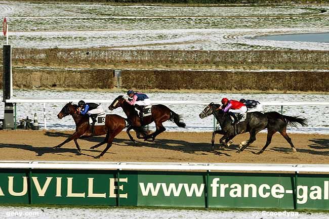 03/01/2010 - Deauville - Prix de Beneauville : Arrivée