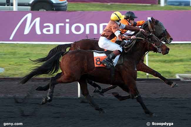 30/01/2010 - Vincennes - Prix de Clamecy : Arrivée