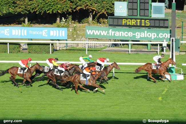 14/10/2011 - Saint-Cloud - Prix Cardmania : Ankunft