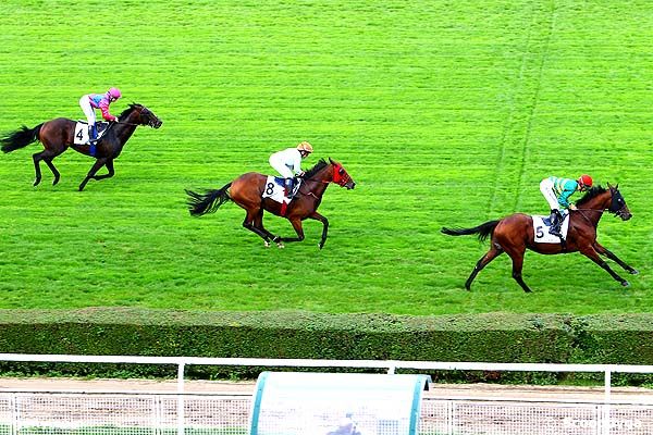 19/09/2013 - Saint-Cloud - Prix de Marnes-la-Coquette : Result