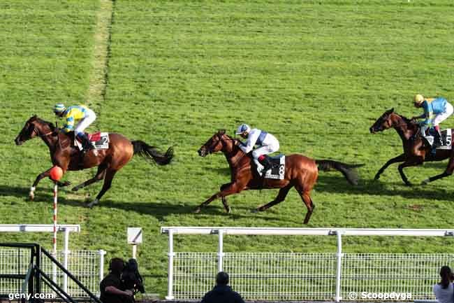 20/09/2013 - Maisons-Laffitte - Prix de Fromainville : Arrivée