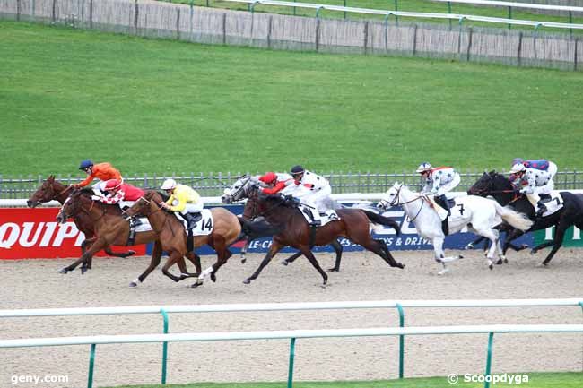 26/11/2013 - Chantilly - Prix de l'Enguerande : Arrivée