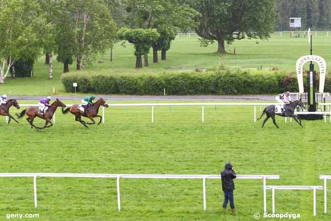 30/05/2016 - Maisons-Laffitte - Prix Balbonella : Arrivée